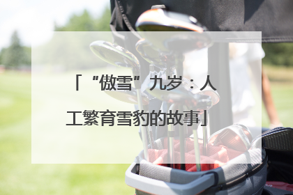 “傲雪”九岁：人工繁育雪豹的故事